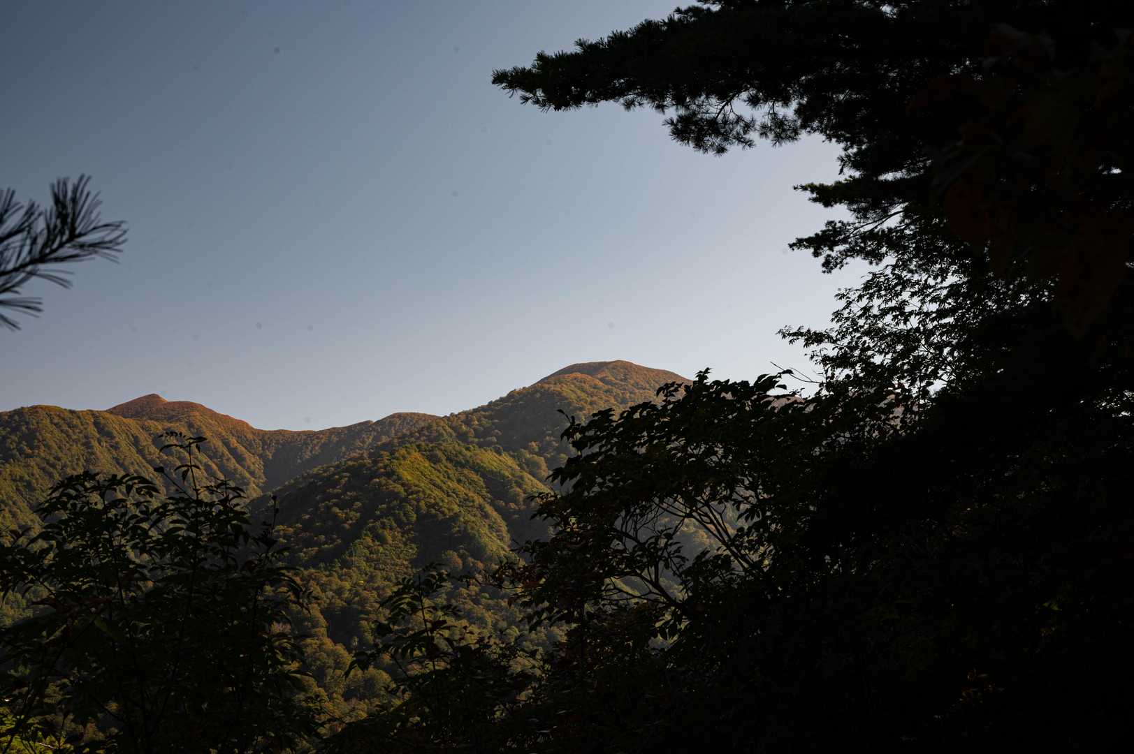少し登るとあっという間に稜線です😁
朝日連峰が見えてきました♬