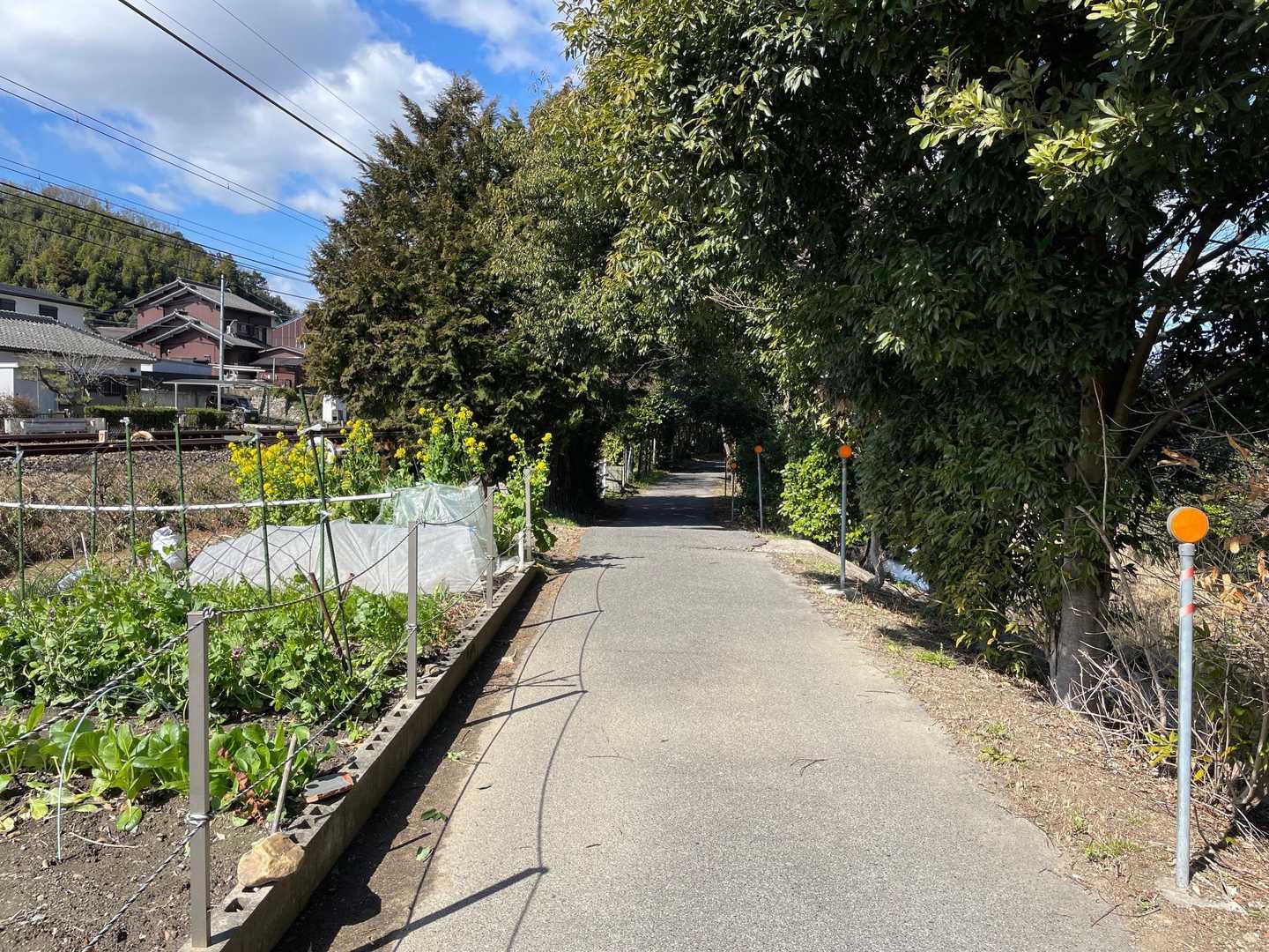 の脇を歩いて……