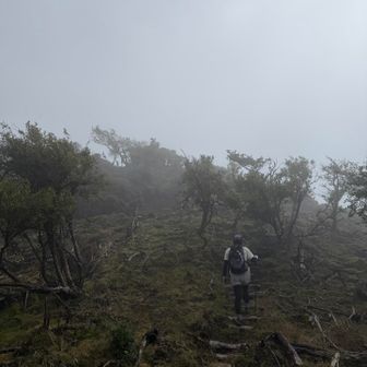 障子岳もどうやら