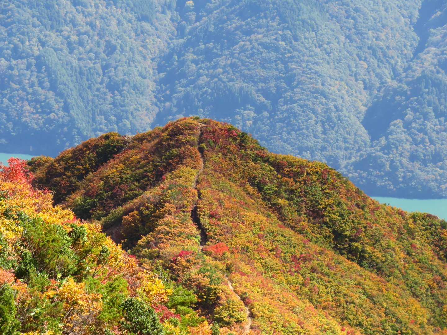 鶴平新道を下山します⤵️
紅葉の中、下山にワクワク☺️