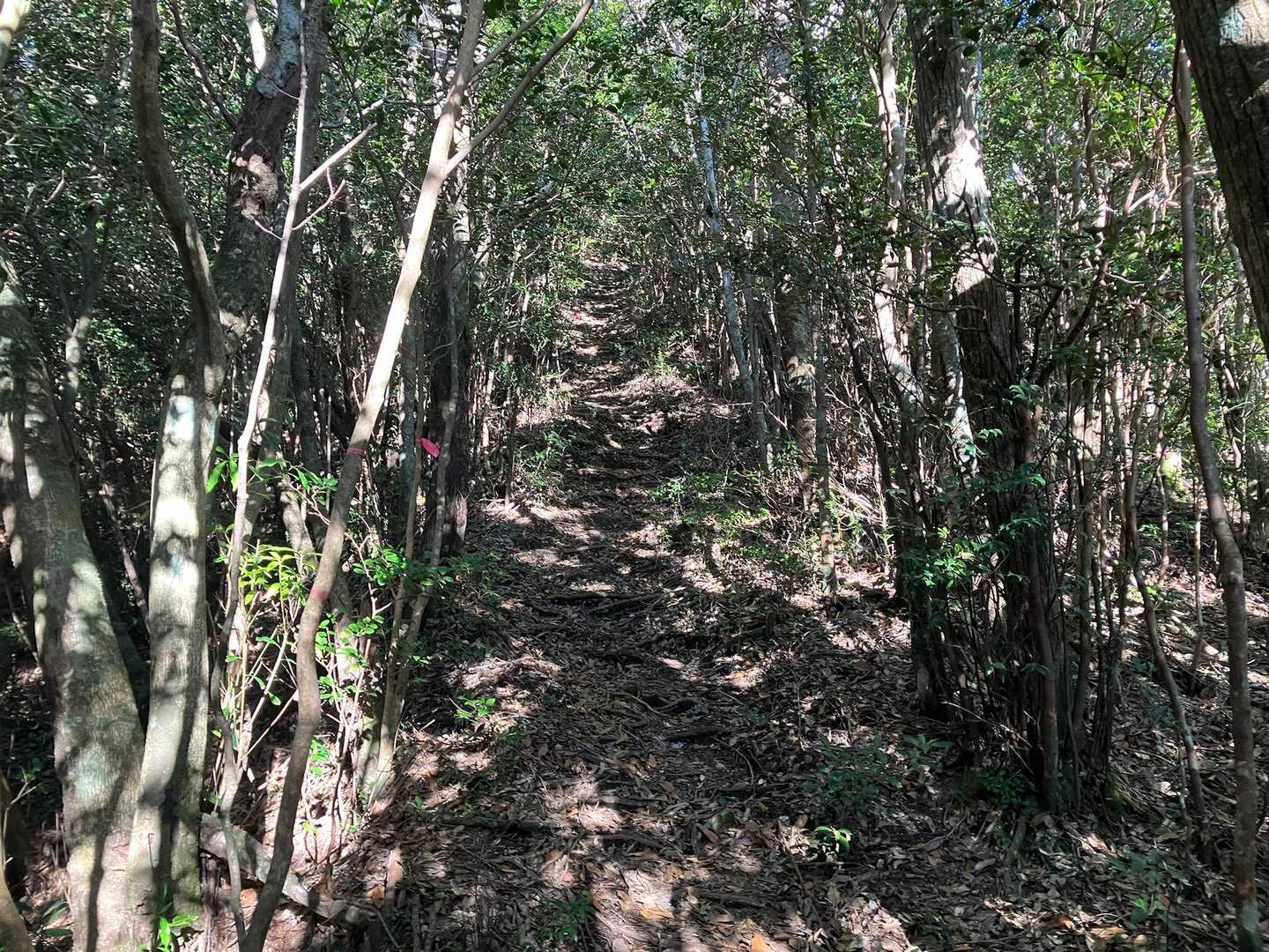 甫与志岳 往復コースの写真