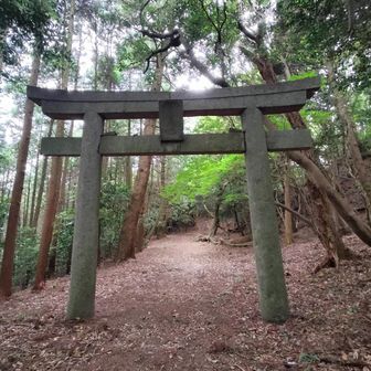山頂標識わからなかったけど…
鳥居周辺愛獄山山頂らしい