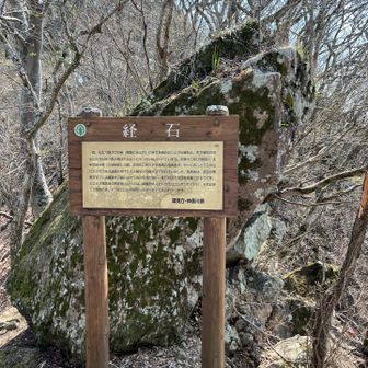 これを見に来ている人多し