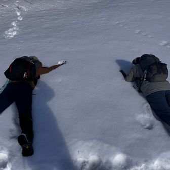 せっかくなのでダイブしてみました