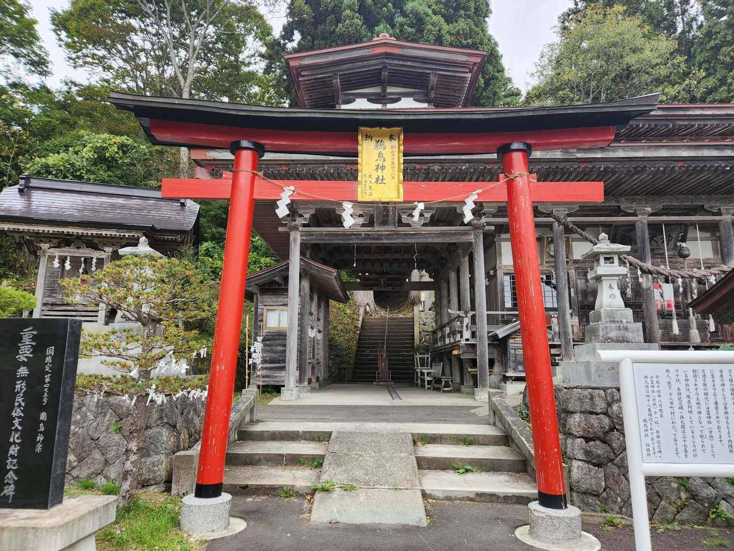 ここからのぼります⛰️