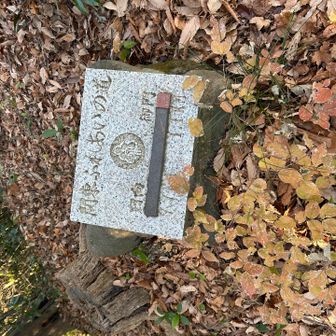 関東ふれあいの道でした