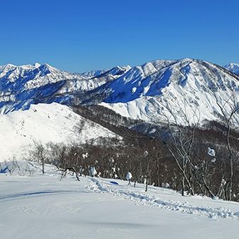 下権現堂山からの上権現堂山