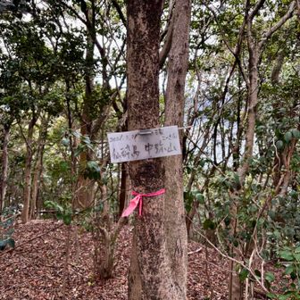 ちょっと下って中弥山
