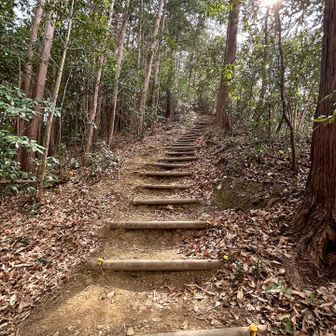ぐぬぬぬ🫩いきなり階段🫩