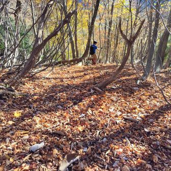 左門岳 美しい尾根を下っていきます。