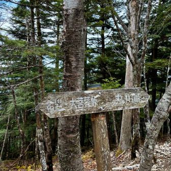 山頂は控えめ