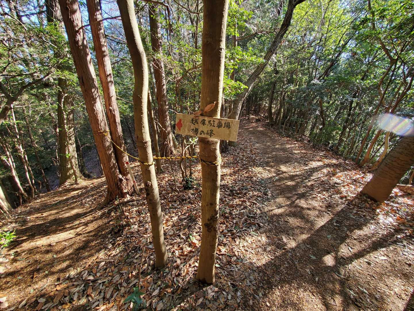 大坊山-越床峠-妙義山 往復コースの写真