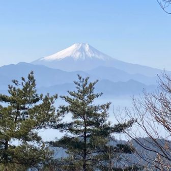 やっぱり富士山