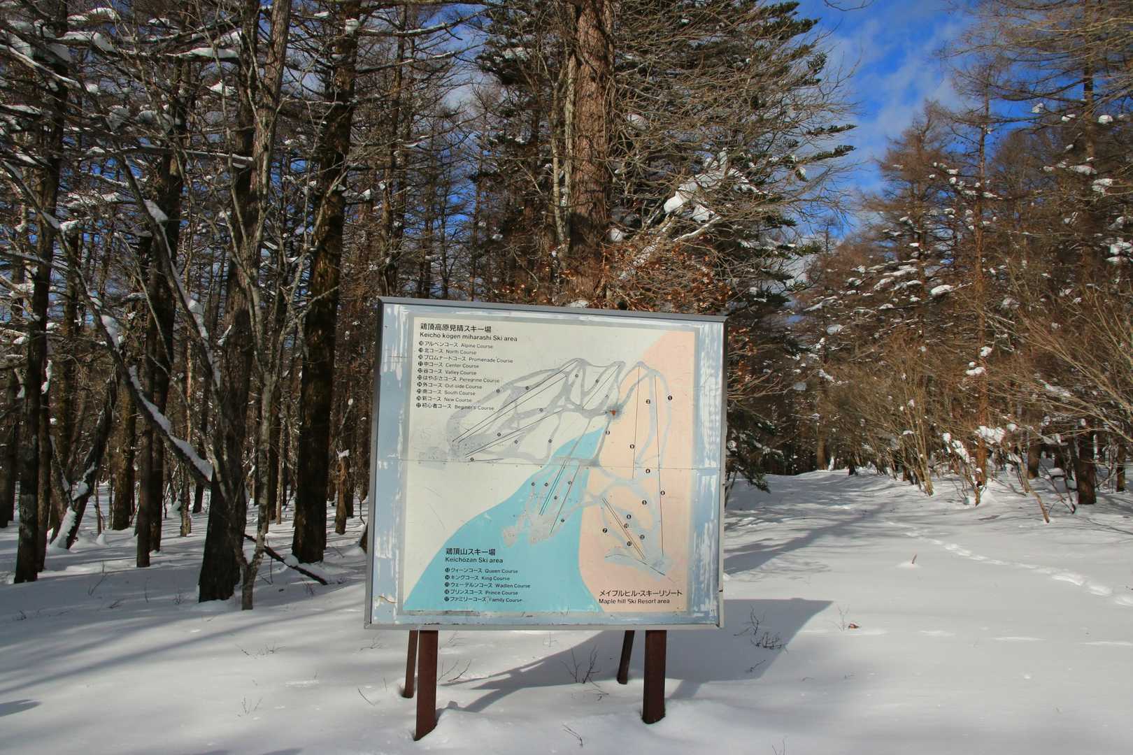 以前はスキー場だったようです