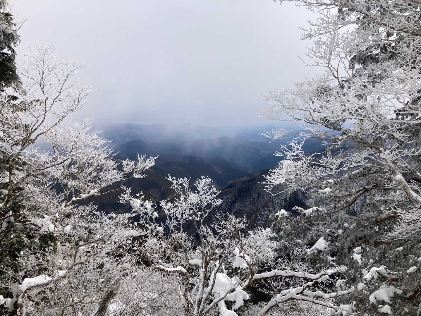 赤ゾレ山-国見山-水無山 周回コースの写真