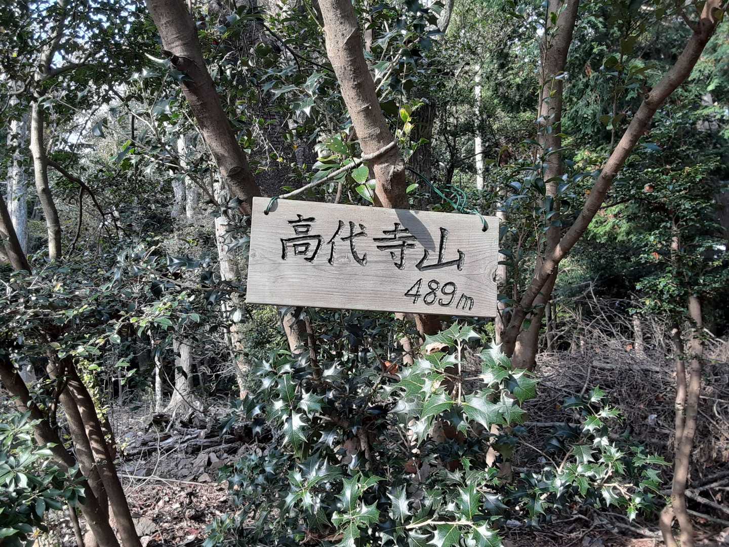 高代寺山。