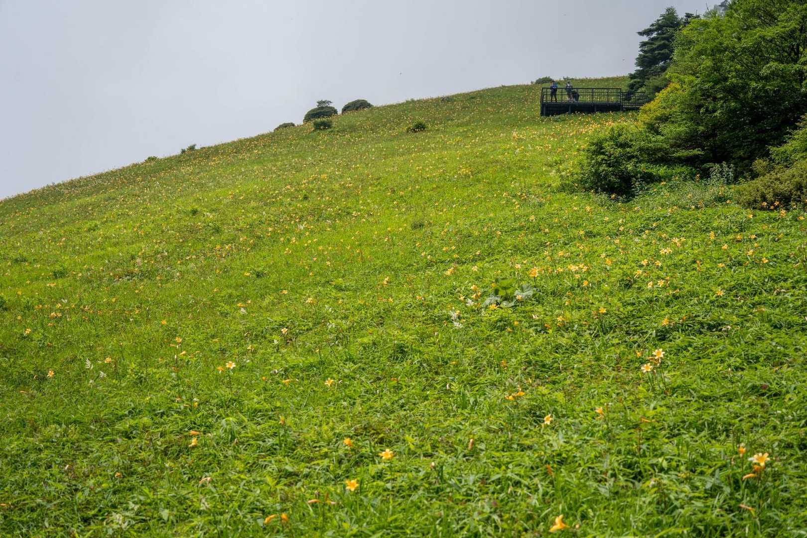 霧降高原レストハウス-丸山 周回コースの写真