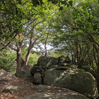 お地蔵様かな？お弘法様かな？
津波戸山で見たような…