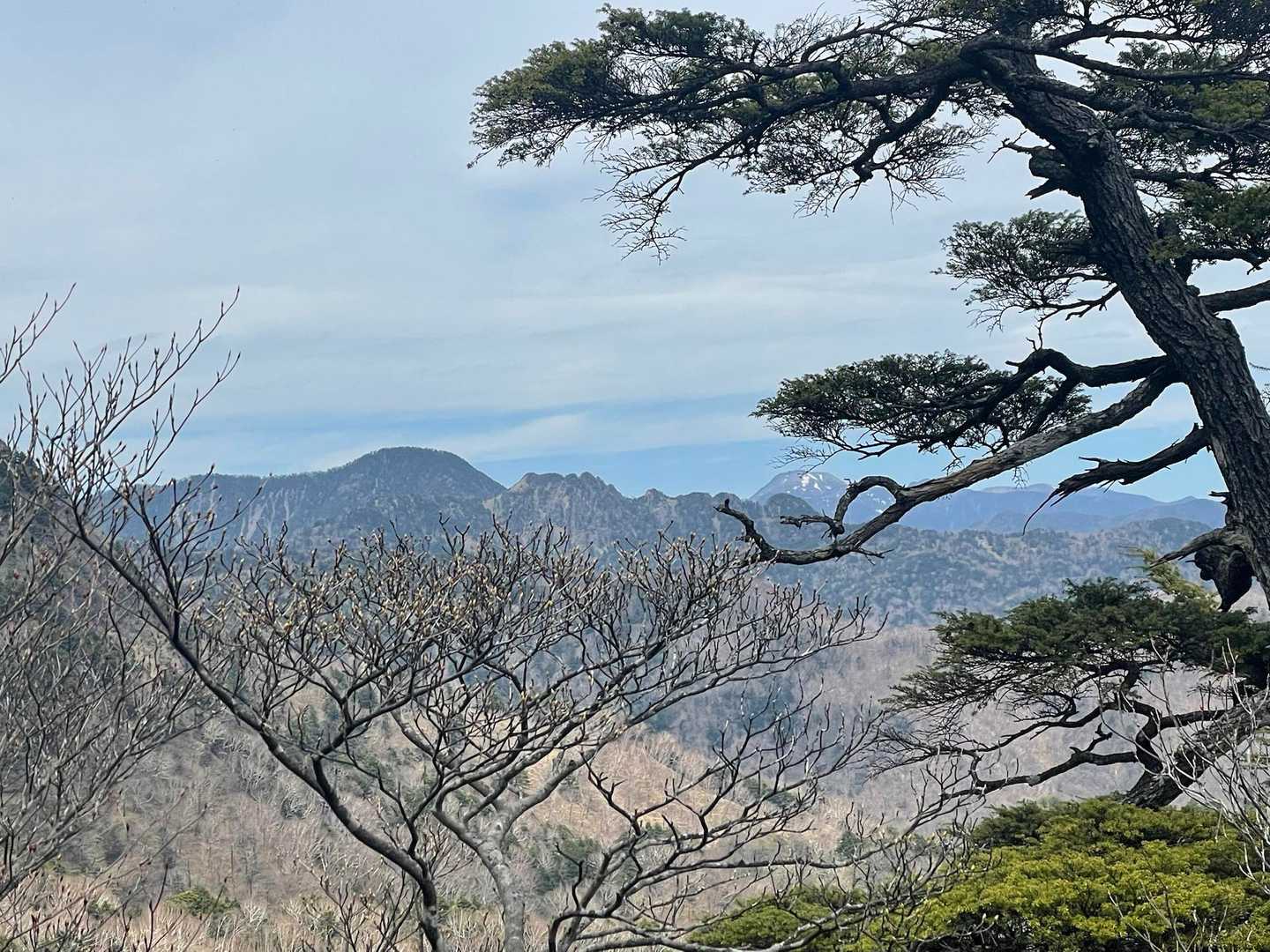 ここからだと鋸山のギザギザが分かりやすい👀
よく登ったわぁ〜🪚
思いを馳せる😌