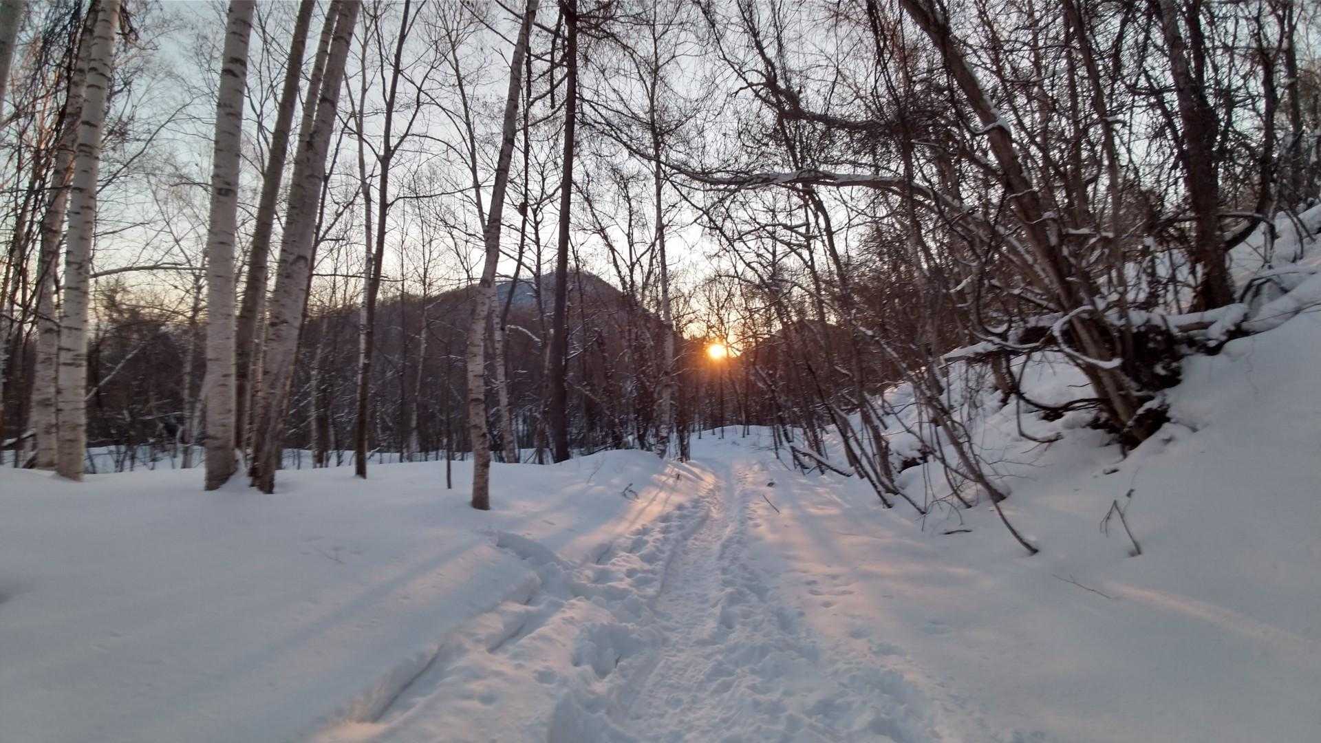 豊平山 往復コースの写真