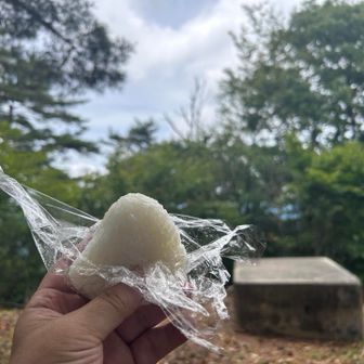 自作の🍙
コンビニ🍙も高くなってきたので最近は自作です。塩と梅のみ。