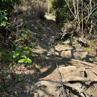 わかりやすいマーキングも