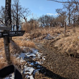 檜洞丸山頂。犬越路へ