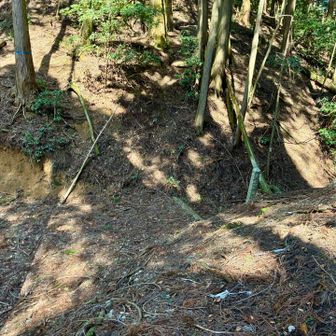 オホラ山頂から引き返し、観音峠まで戻りました。