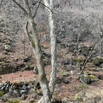 石垣？
落石注意⚠️です。