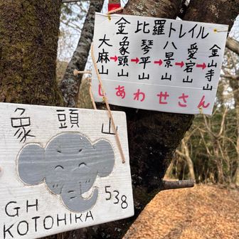 象🐘🦣さん 可愛い🩷

大麻山の プレートは 無くなってたんだって。
どんなのか、見たかったなー🩷😍