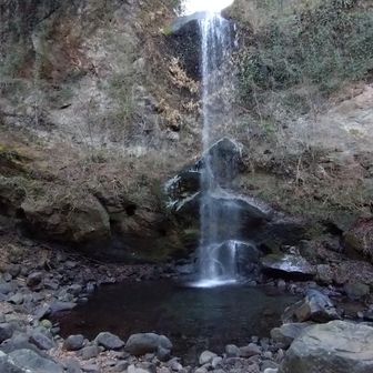 滝はいつも癒やされます