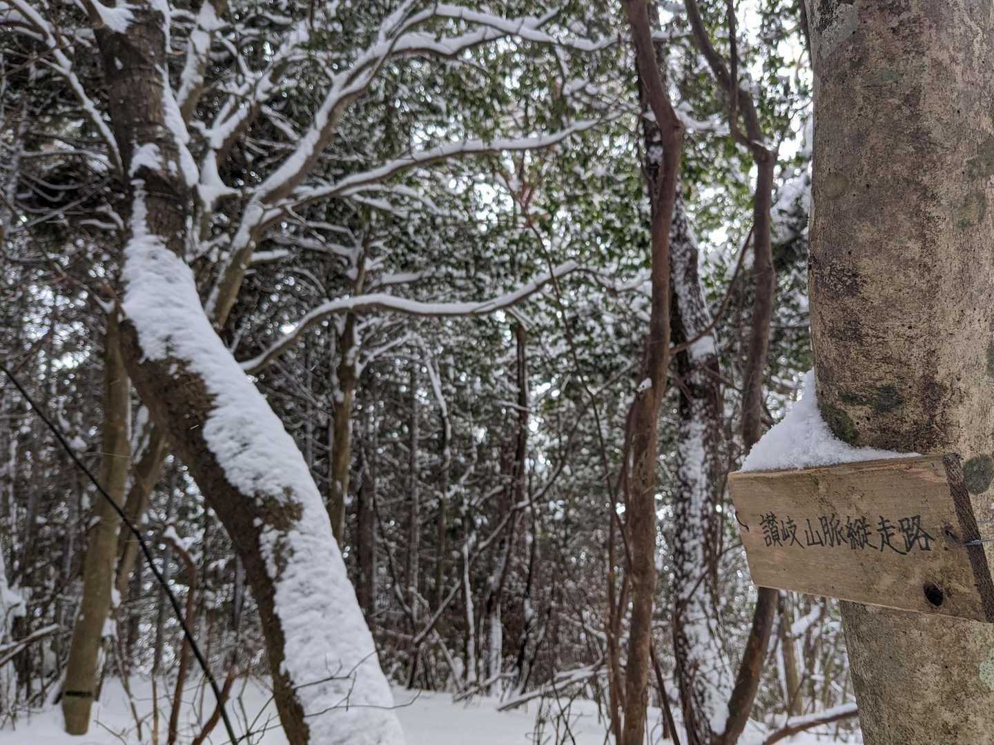 鷹林山の看板は行方不明
かわりに阿讃山脈縦走路の看板をパチリ📸