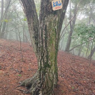 最初のピーク大同山
