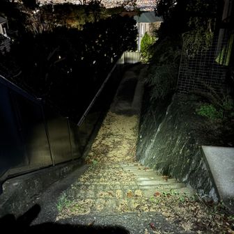 やっと下界へ降りれるぞ