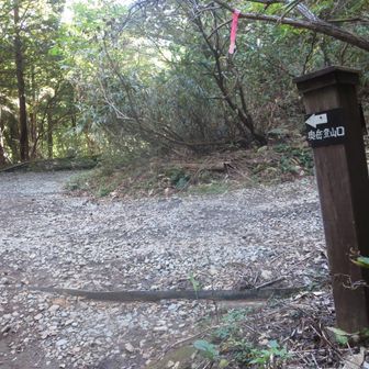 道標に従って奥岳登山口に向かう。