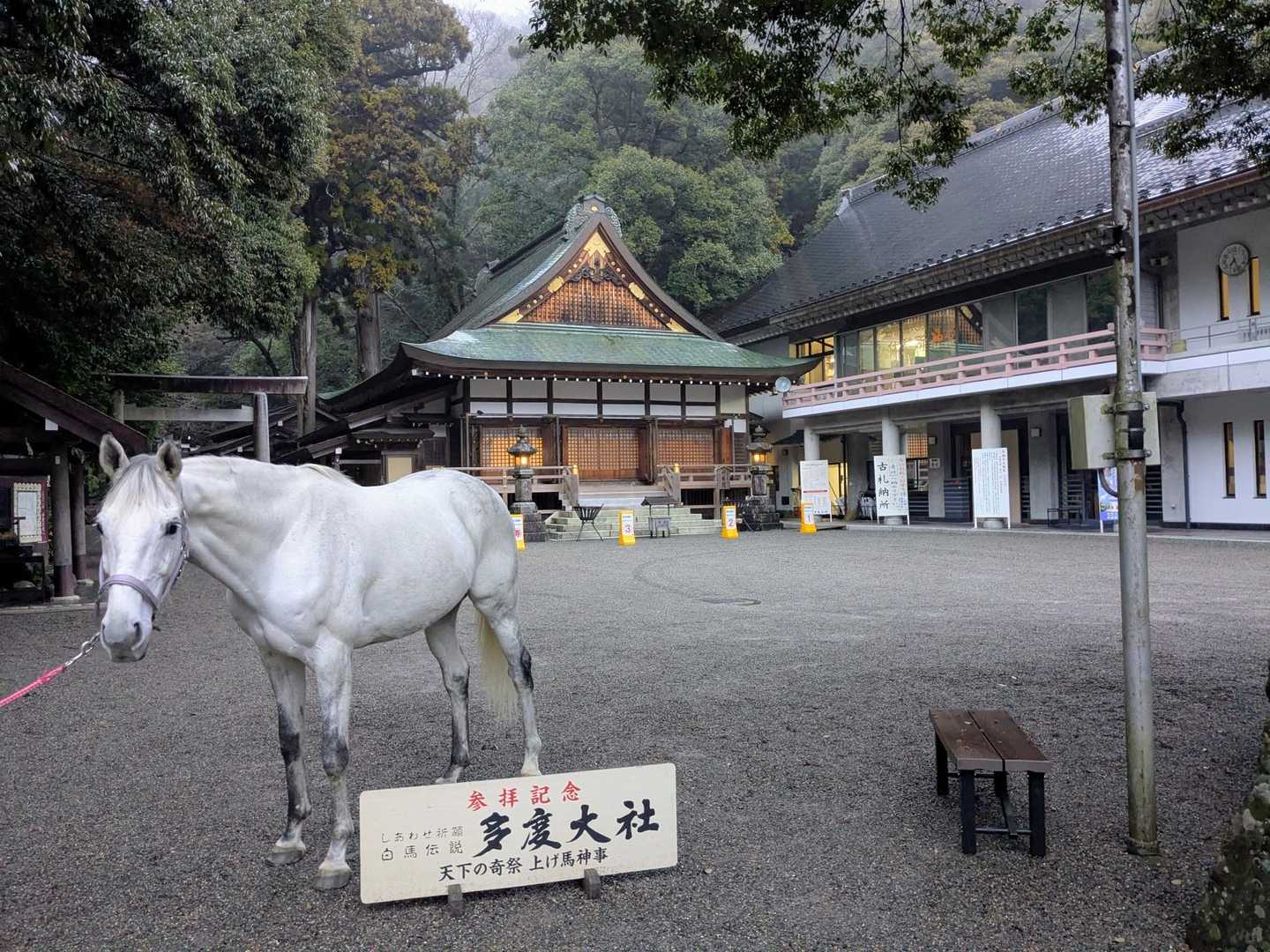 えっ！？うそ！なんていう奇跡的なタイミング！
突然な偶然の出会い𓃗