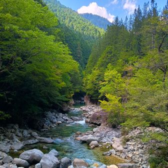 中八丁吊り橋通って