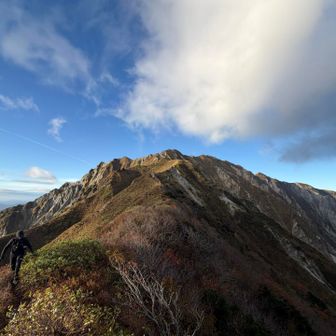 最高にイカした景色やん