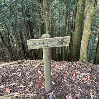 両子山北峰山頂