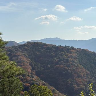 たくさん深呼吸するよー☺️