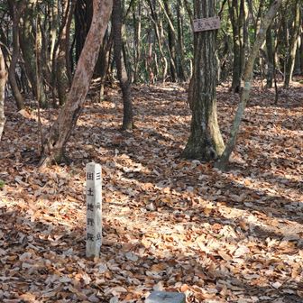 長坂山の山頂です。三角点に「国土地理院」という標柱が立っているのは珍しい気がしますが、どうなんでしょう。