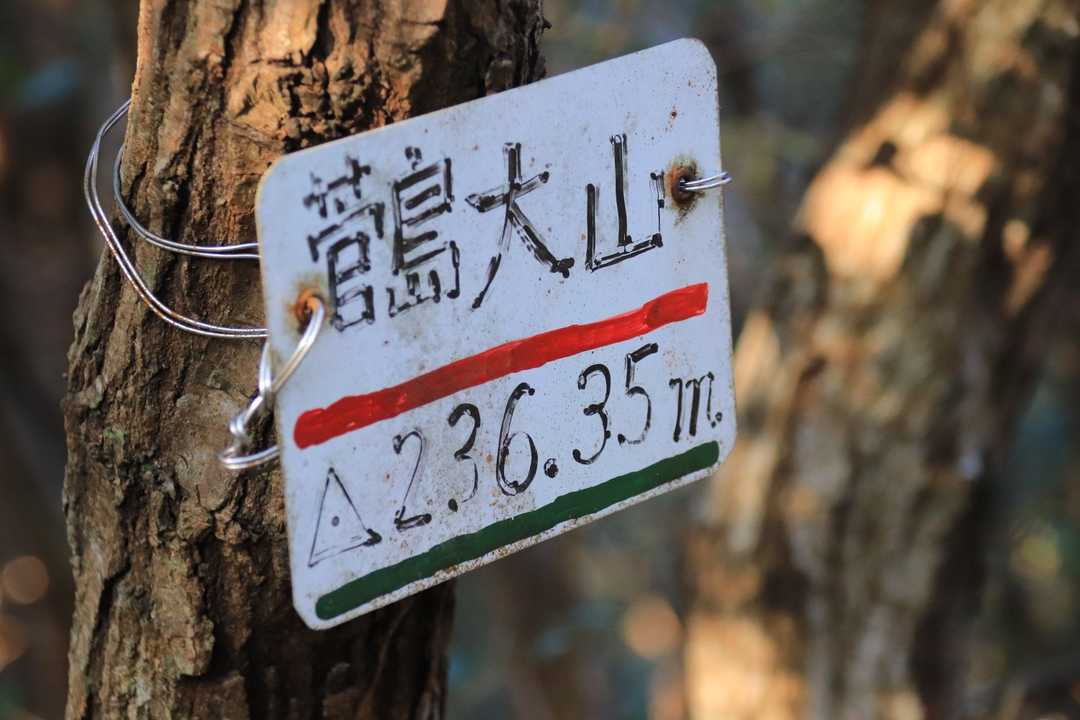 山頂まで来ました🗻