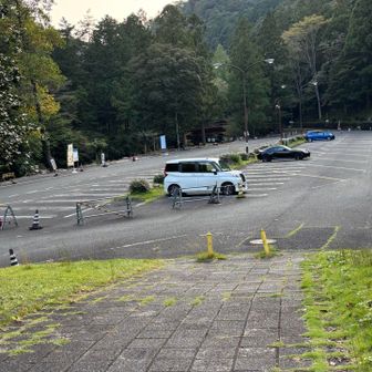 やっと帰って来ました。車も少なくなっています。