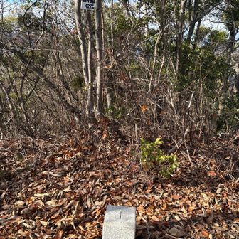 茗荷谷山ピーク