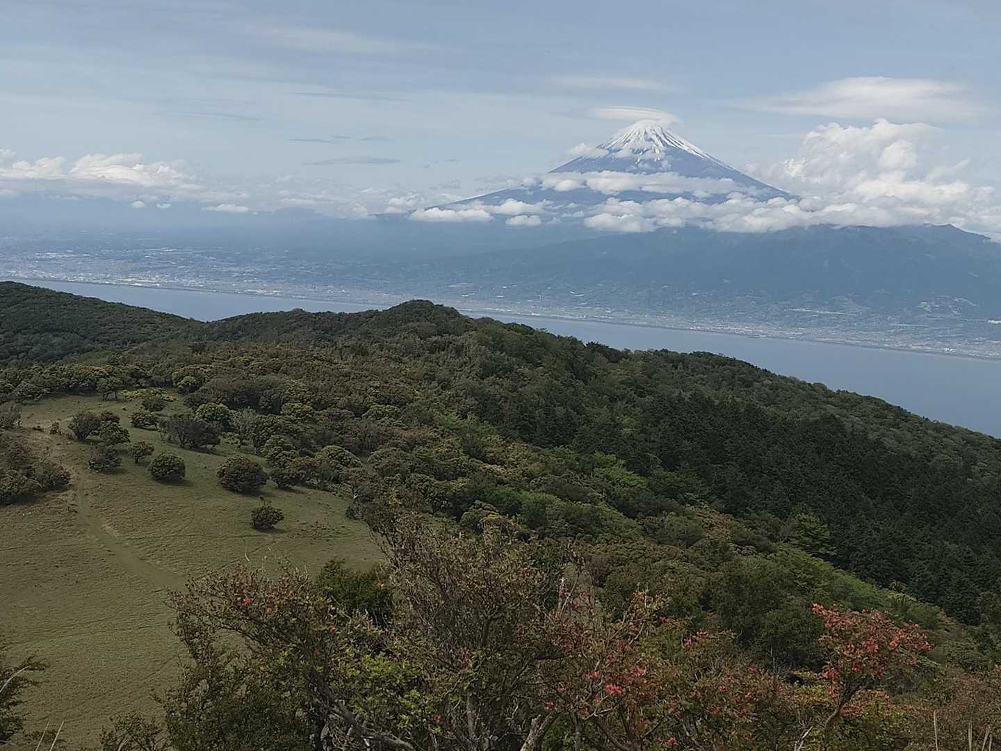 金冠山から