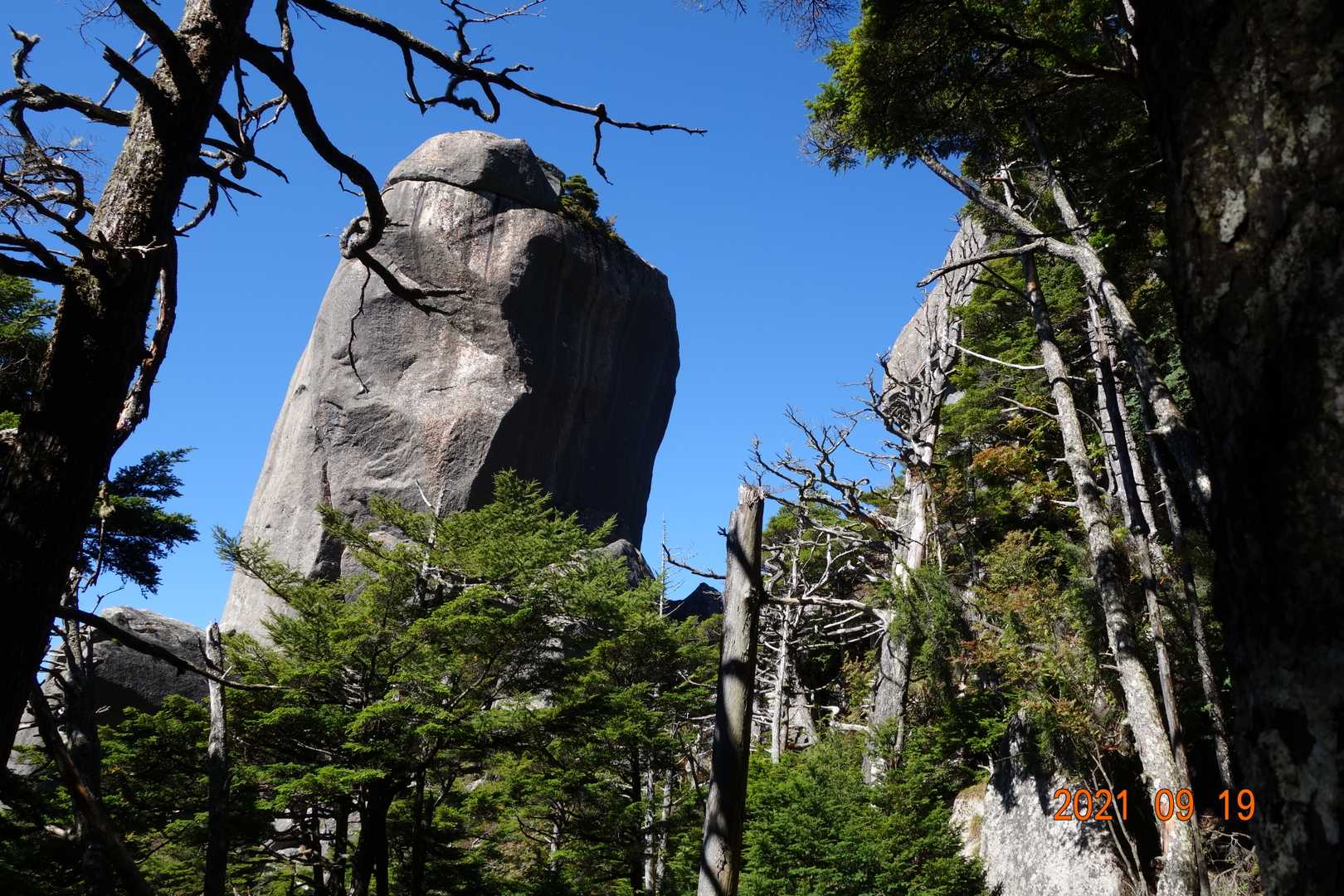 瑞牆山荘コース | 奇岩・巨岩の連続がかき立てる冒険心と、苔むした森が醸す癒しの写真