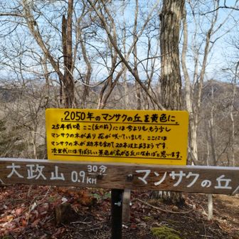 応援しています
長期ビジョンは大切