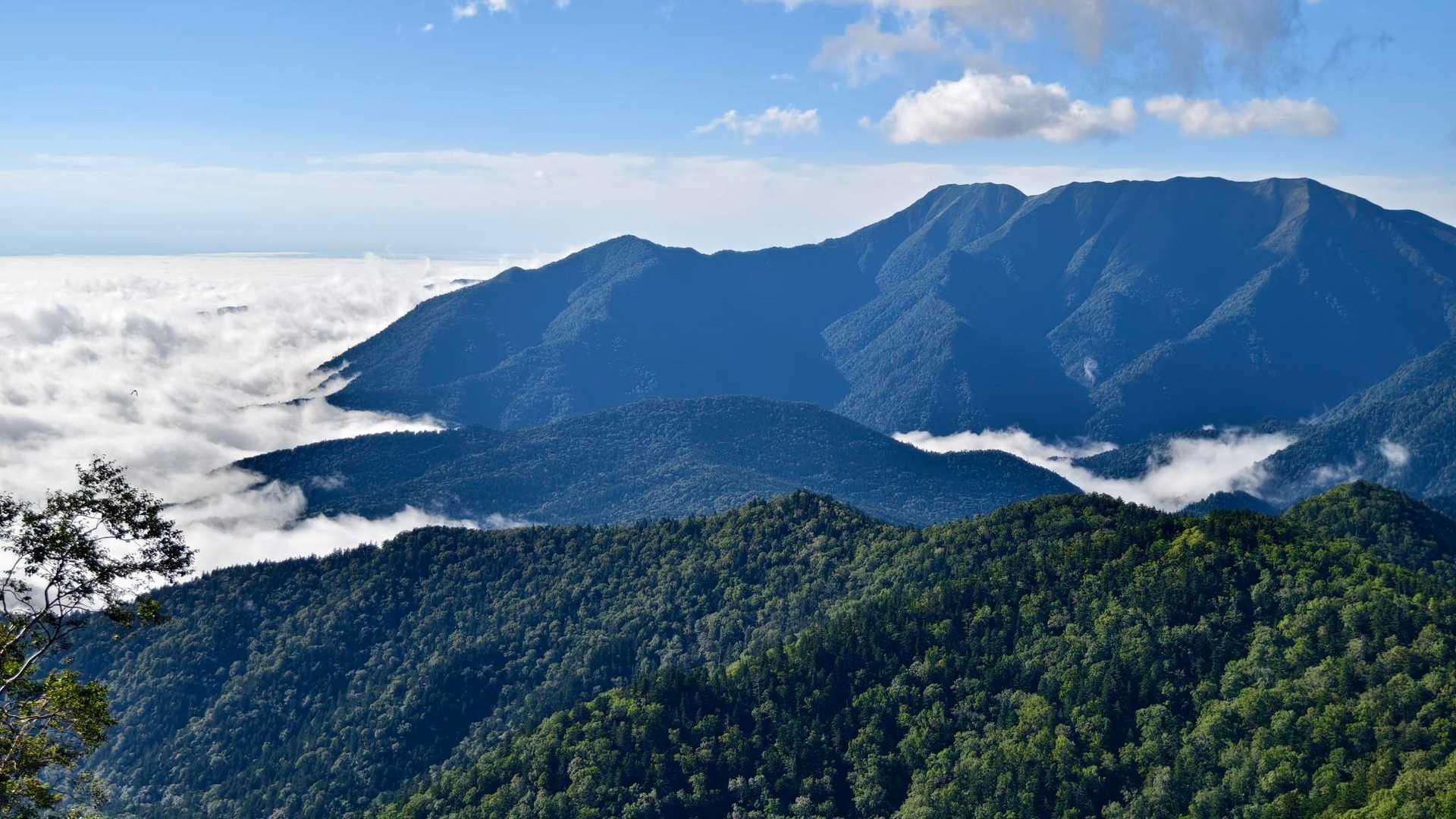 下界は雲海だ