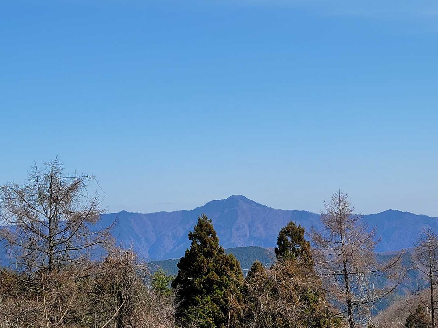 ここから見る大岳山（中央）も堂々としてます✨