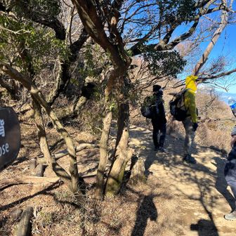 ジャンダルムを一緒に登ったメンバーで、天城の馬の背を歩くと言う摩訶不思議